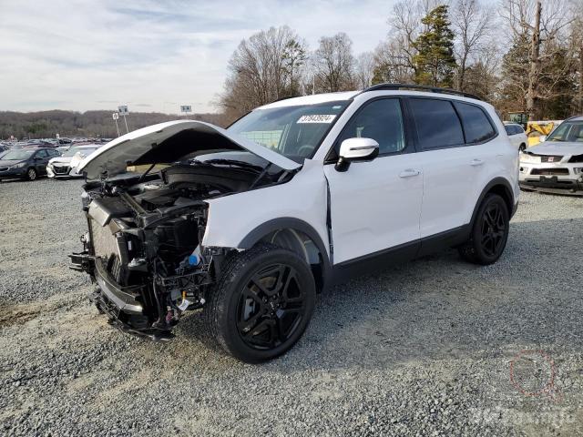 Kia Telluride Ex 2024 White 3.8L 6