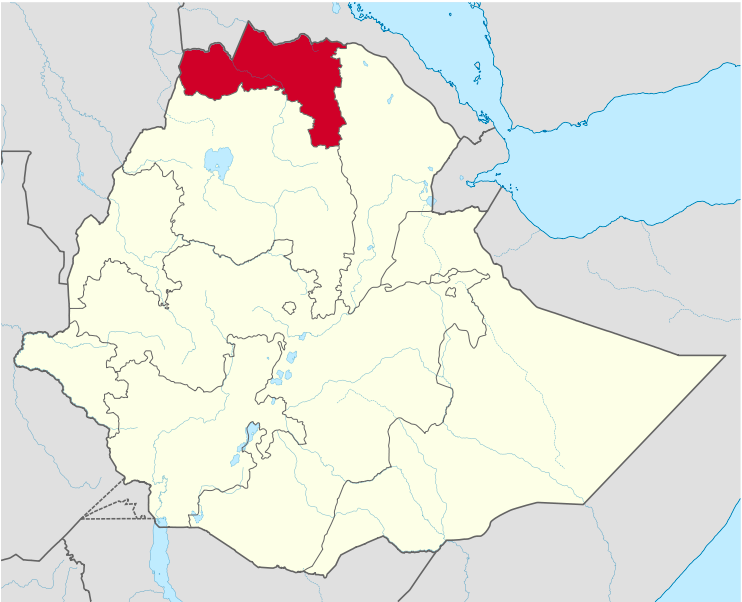 An Ethiopian Civil War: Conflict in the Tigray Region