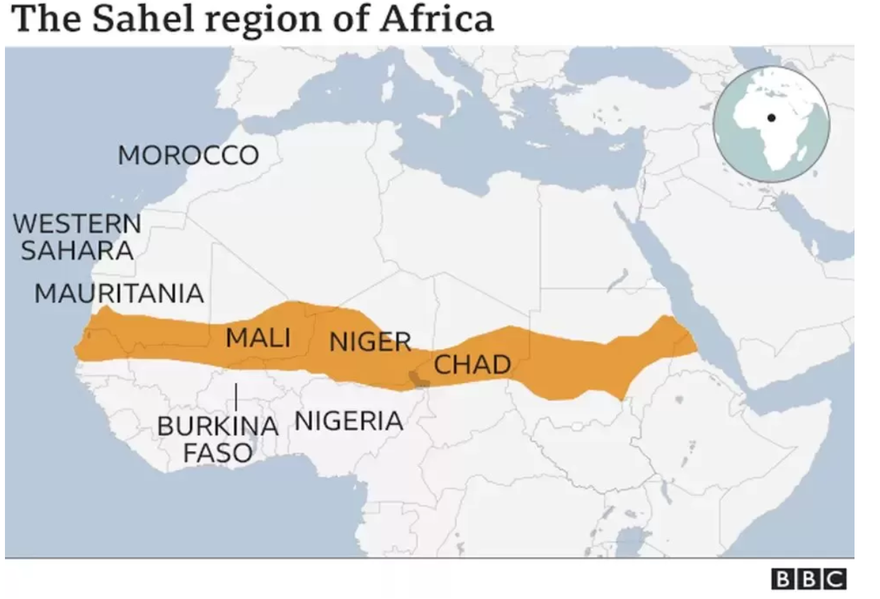 The Danger of Red Lines: ECOWAS's Future And Democracy in Niger