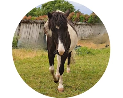 Séances individuelles - Thérapie psycho-corporelle