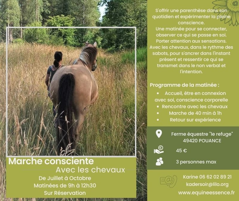 Marche consciente avec les chevaux