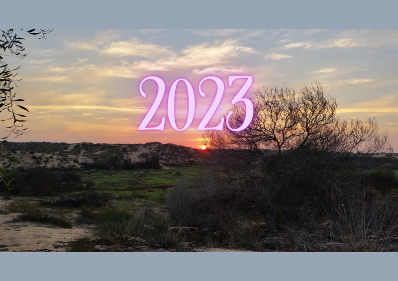 שנת 2023 – מה הפוטנציאלים הגלומים בשנה זו עבורינו?