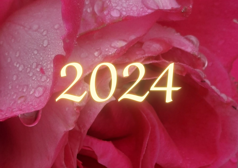 התדר שמביאה לנו שנת 2024, והשנה האישית – התדר שילווה אותך