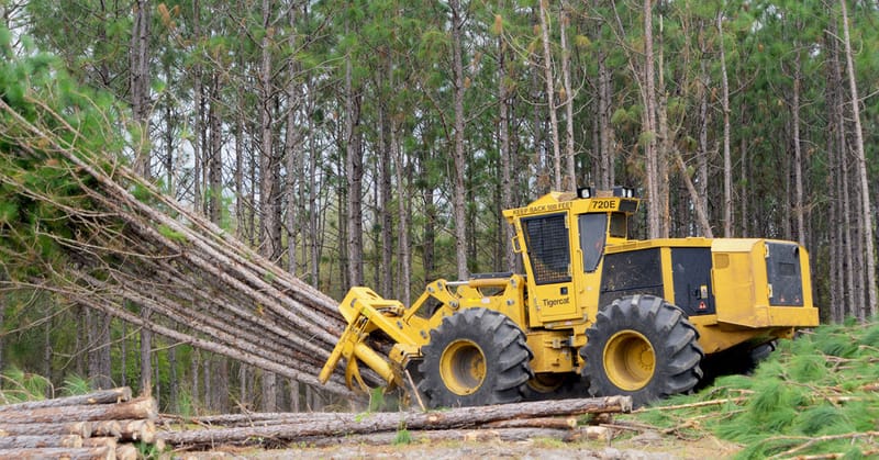 ERRADICACIÓN DE FORESTALES