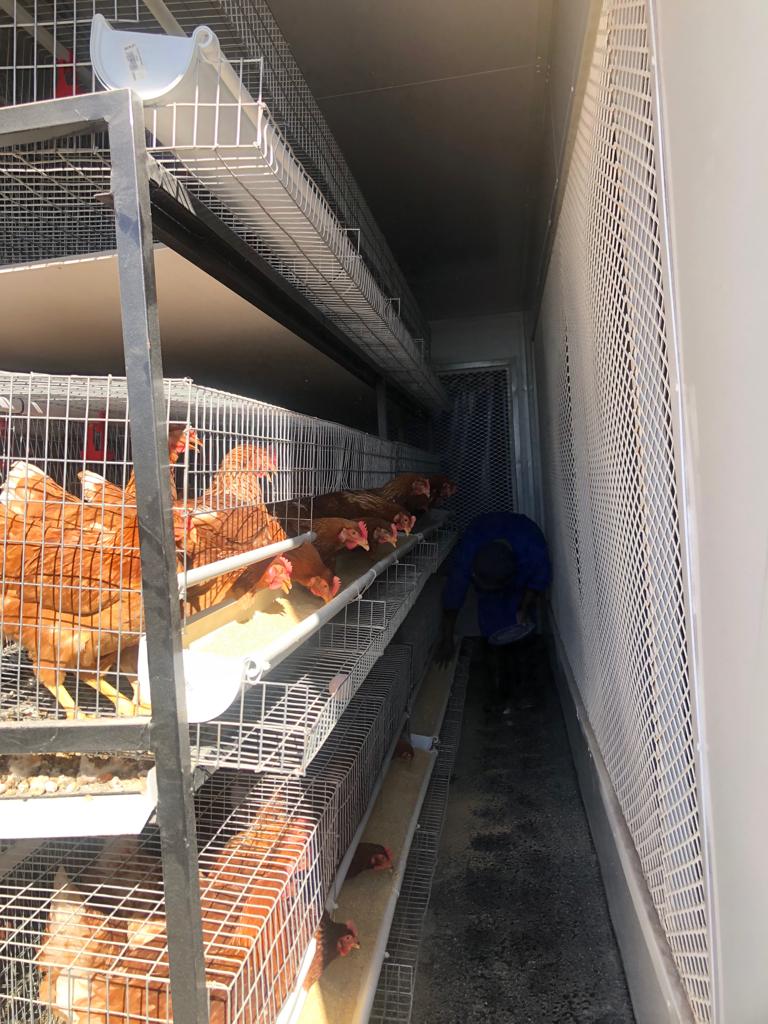 BAKING, POULTRY FARMING, SEWING, KNITTING AND CRAFTS