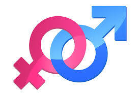 The Truth About Gender & Sexuality - Part 2