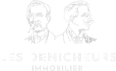 Les Dénicheurs Immobilier