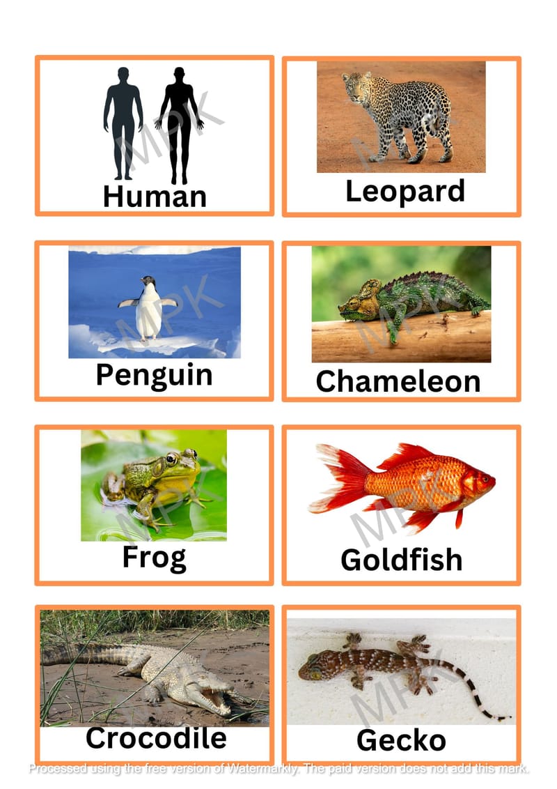 Biology - Montessori Printables Kenya