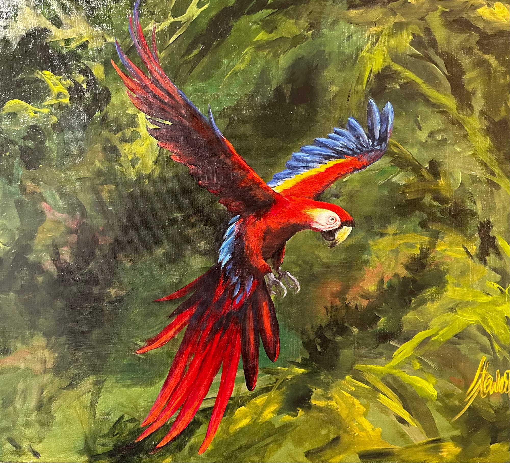 "Wild Macaw"