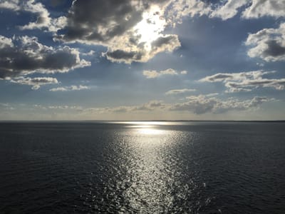 A STRING OF SELAH PEARLS - PSALM 7:3-5