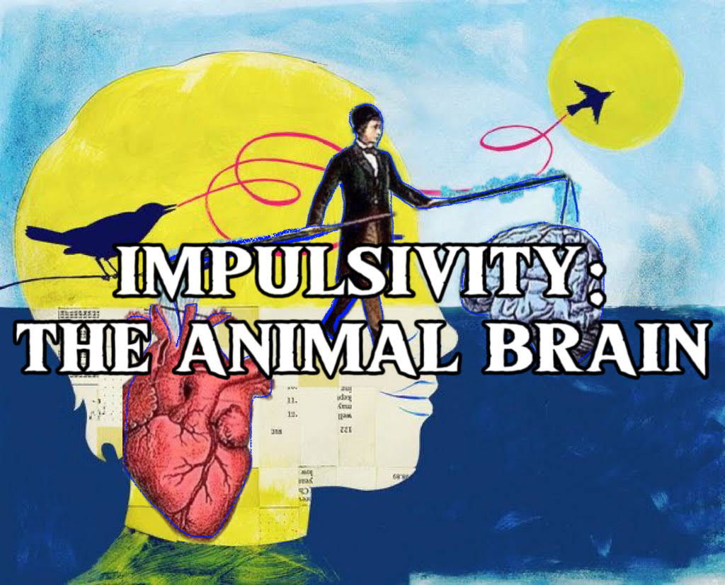 impulsivity: the science of the animal brain