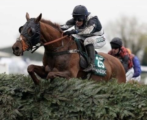 KM Racing, Breaking & Pre Training - KM Racing, Breaking & Pre Training