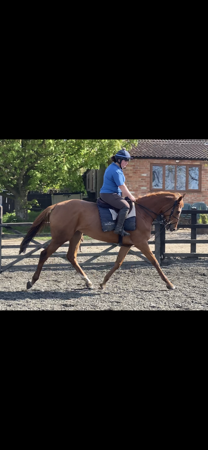 Pre training/rehabilitation