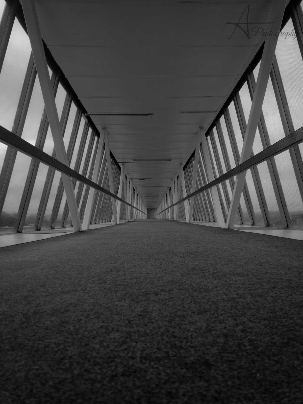The long walk