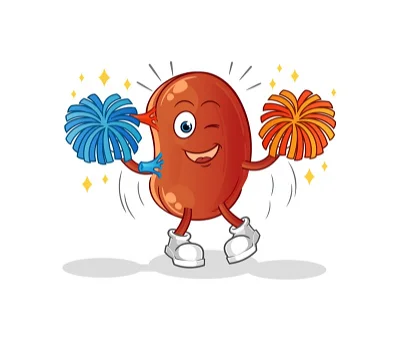 Cheer Kidney