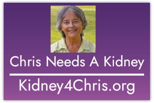 Kidney4Chris.org Car Door Decal