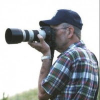 About image