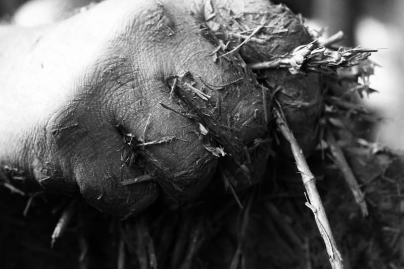 Terre, paille et tu tasses