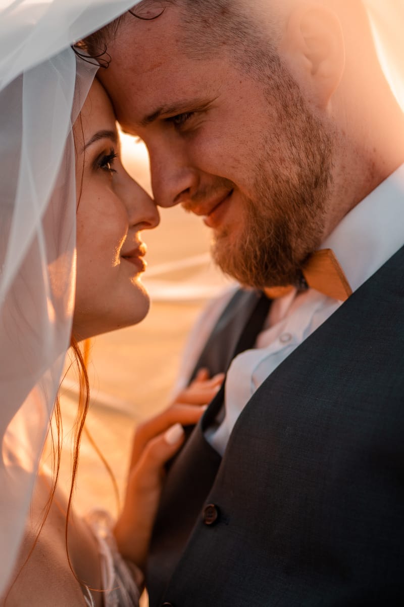 Ž I V O T N Í  U D Á L O S T