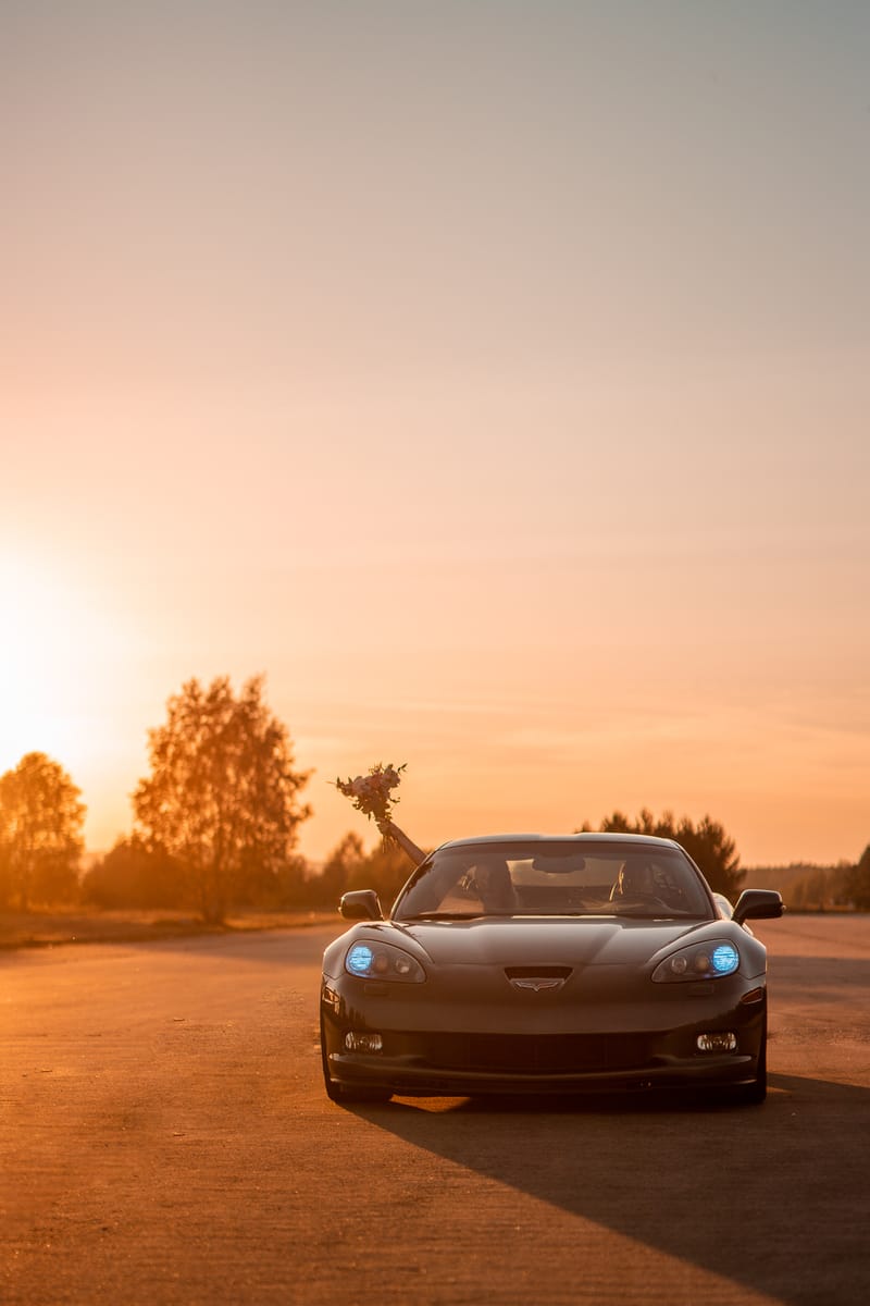 Ž I V O T N Í  U D Á L O S T