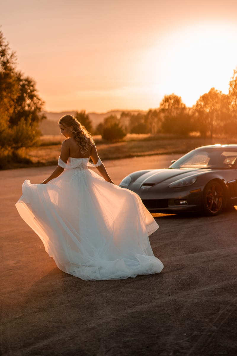 Ž I V O T N Í  U D Á L O S T