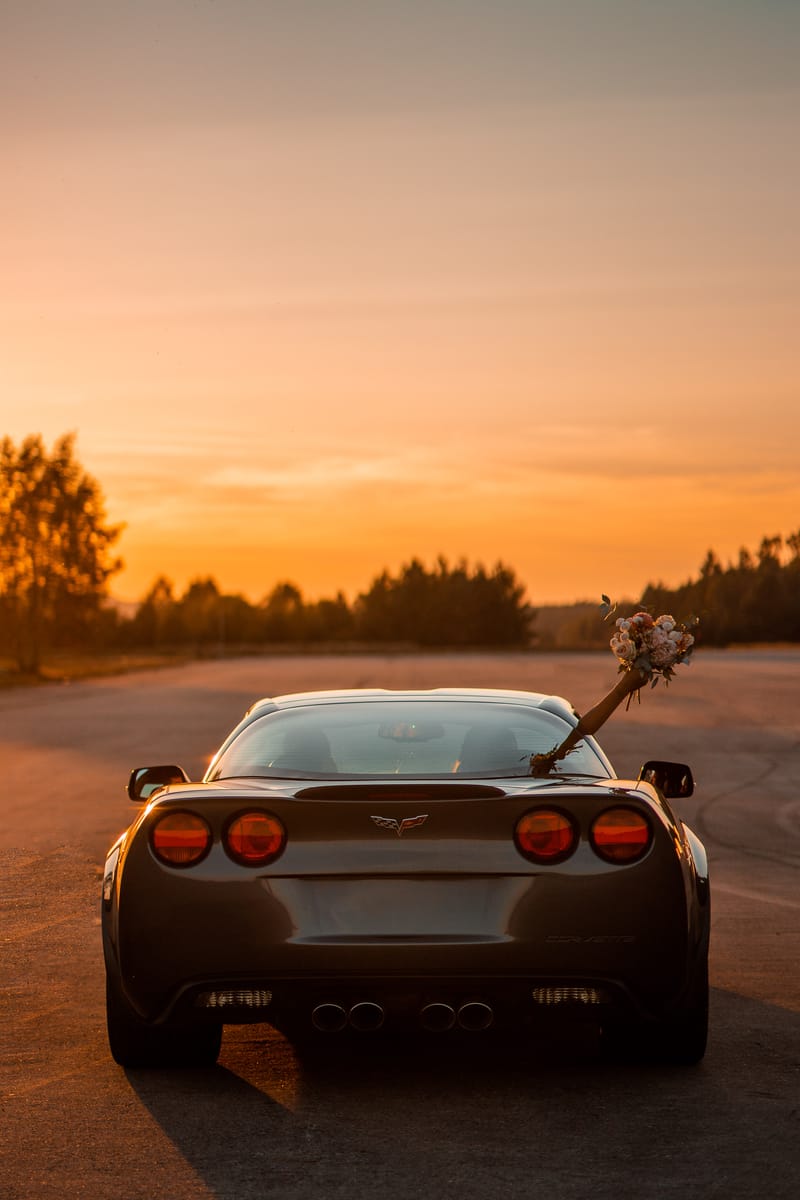 Ž I V O T N Í  U D Á L O S T