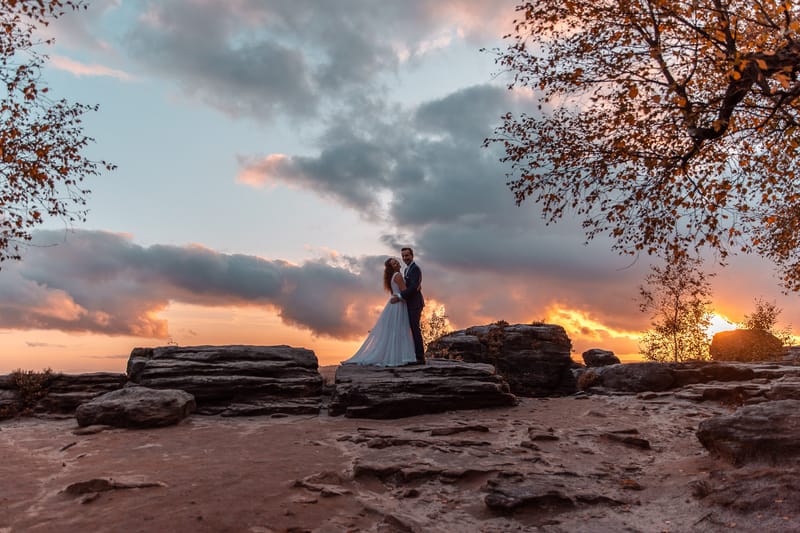 Ž I V O T N Í  U D Á L O S T