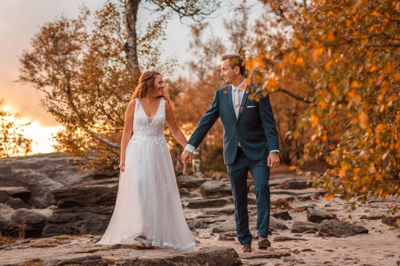 Ž I V O T N Í  U D Á L O S T