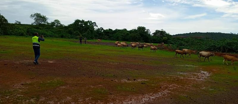 Evaluation Environnementale Stratégique (EES)