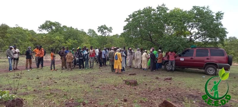 Etudes D'Impact Environnemental et Social (EIES)