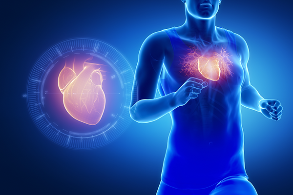 Cardiologie du sport