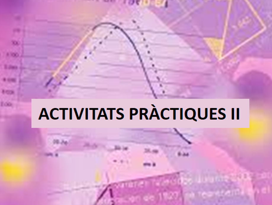 Activitats pràctiques II