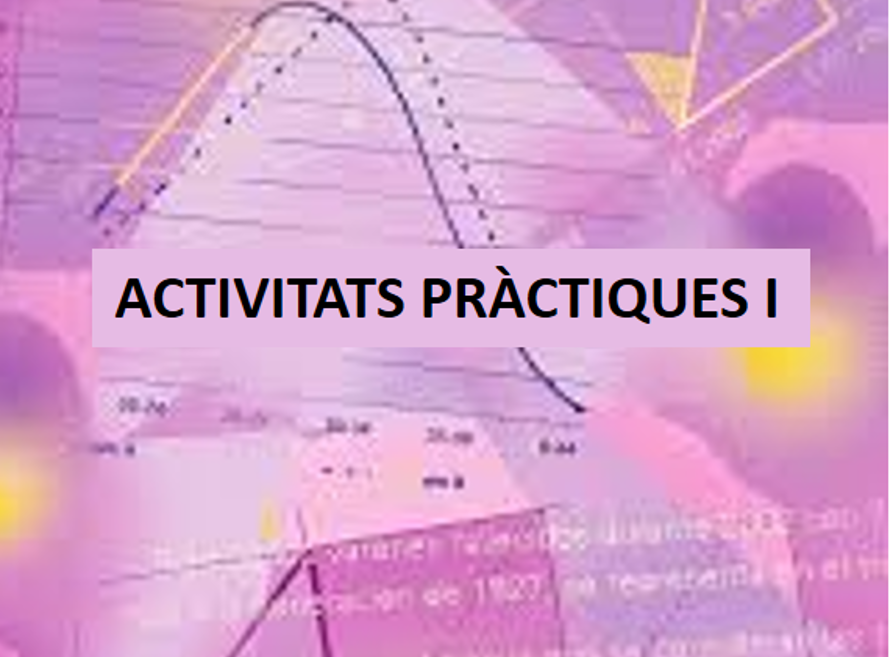 Activitats pràctiques I