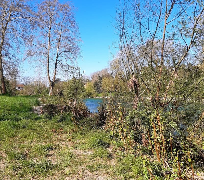 Activités de la GAULE PUYOLAISE