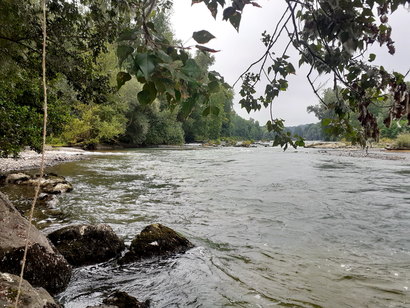 Poissons présents dans nos ruisseaux, gave et lacs