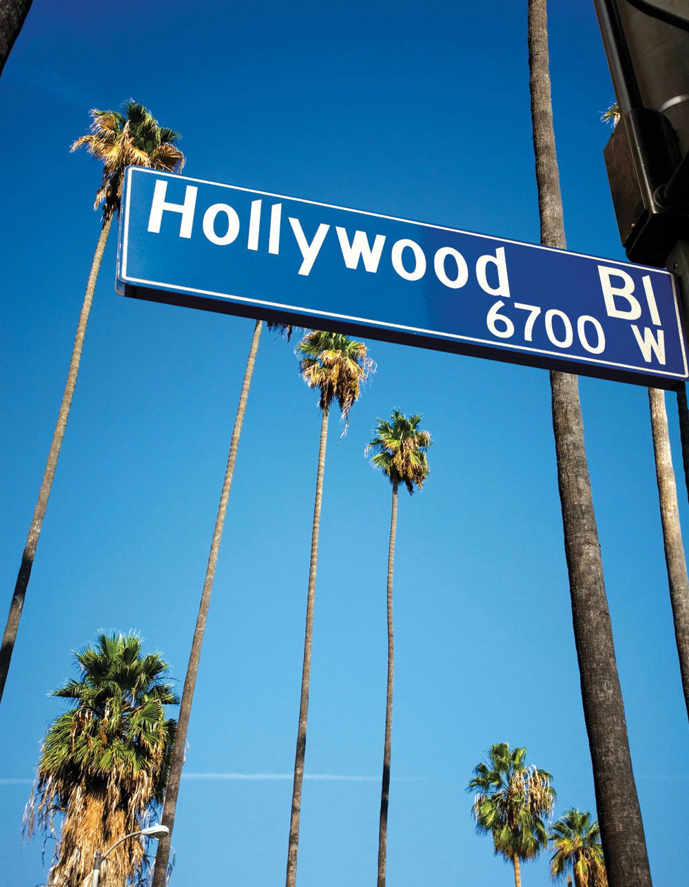 "Un prince en Hollywood" nouvelle création 2024/2025