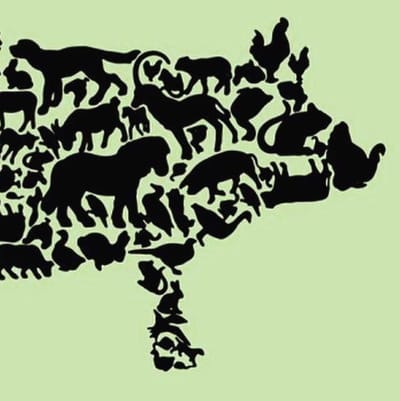 High Paradise Farm Tearoom