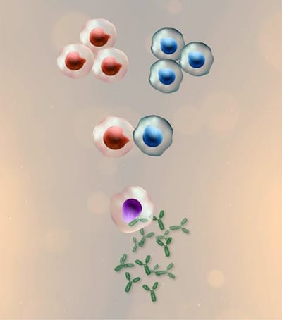 Hybridoma Technology: A Revolutionary Approach to Cancer Treatment
