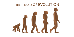 The Theory of Evolution: Tapestry of Life