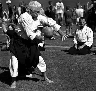 aikido et iaijutsu - la voix dans les budo