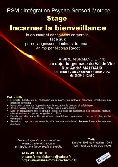 Stage IPSM : la peur, les réflexes, incarner la tranquillité - du 12 au 16/08/24