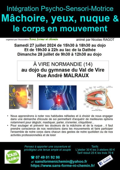 Stage IPSM : la mandibule, la vue, la nuque - le 27 et 28/07/24