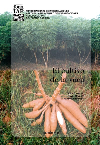 El cultivo de la yuca.