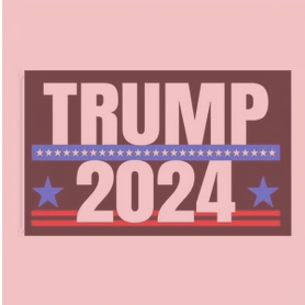 Join the Team to help Elect the next Governor