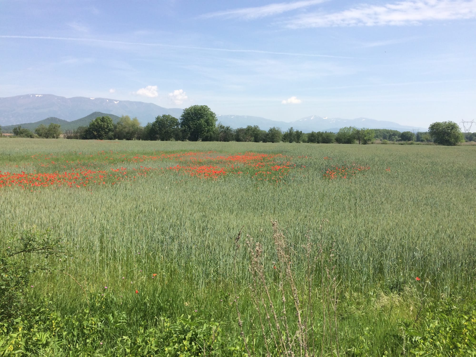 The magical Rose Valley 