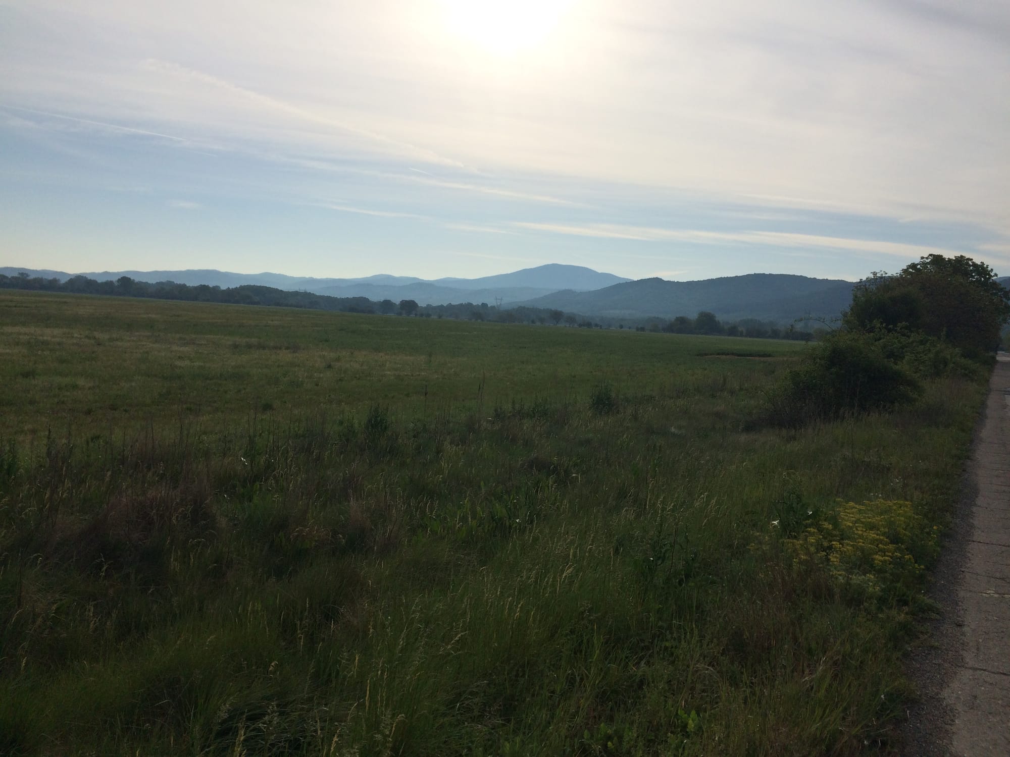 The magical Rose Valley 