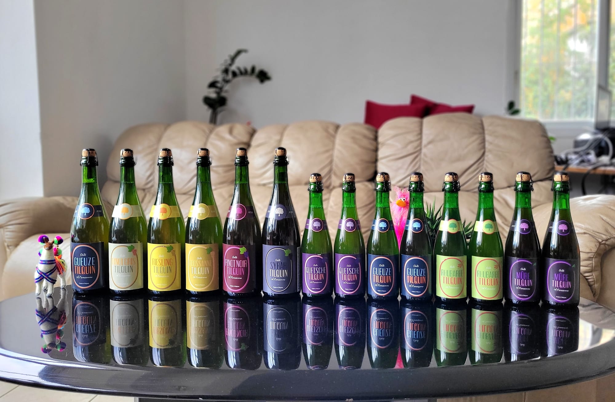 Photos from the community 