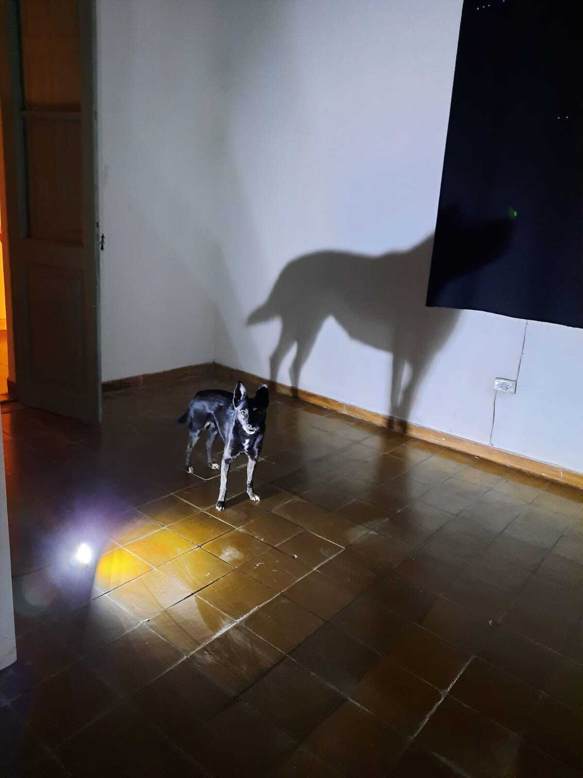 Territorio(s) Posible(s)