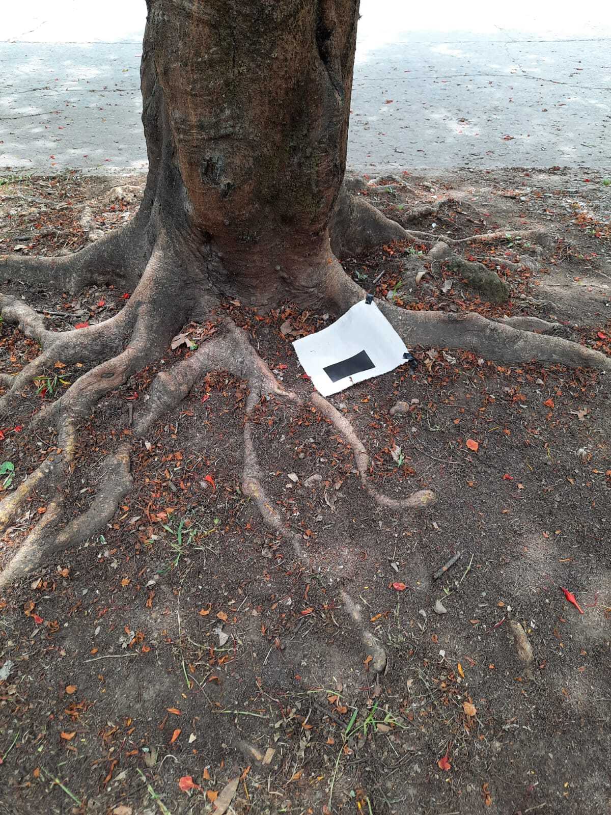 Territorio(s) Posible(s)