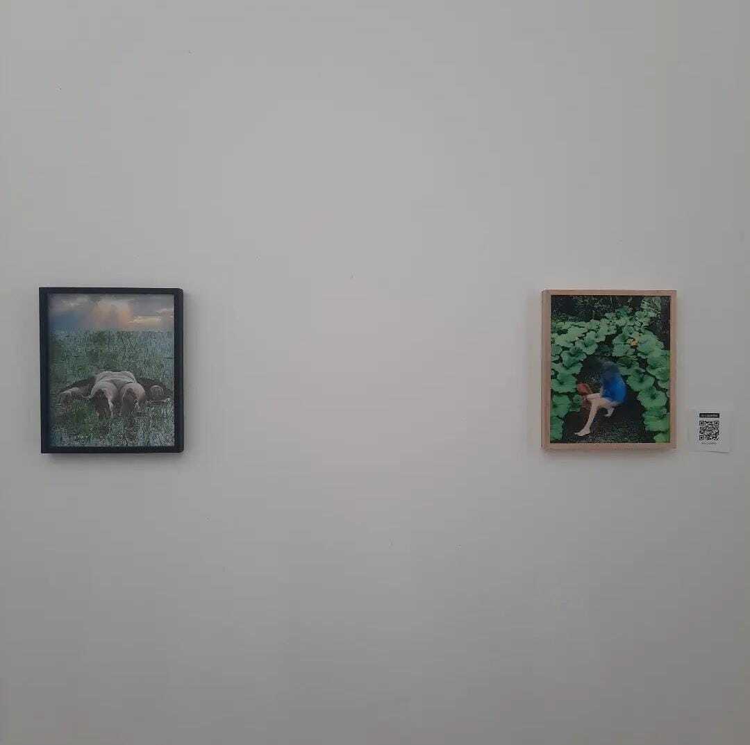 Después del territorio - COLECTIVA